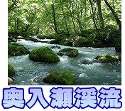 奥入瀬渓流