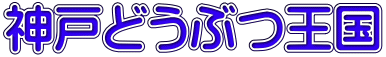 神戸どうぶつ王国