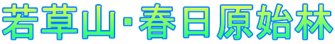 若草山・春日原始林 
